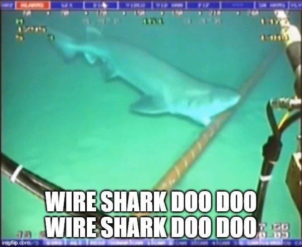 Wireshark